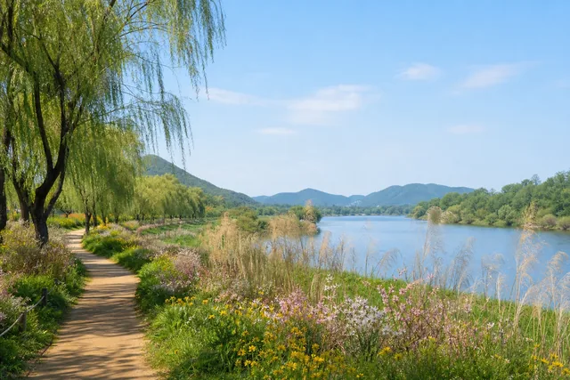 남양주 물의정원 강변 산책로와 계절 꽃을 담은 여행 일러스트